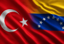 Presidenta (E) agradece a Türkiye su solidaridad tras terremotos agradece a Türkiye
