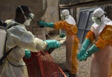 Brote de ébola supera los 500 contagios en el Congo Ébola