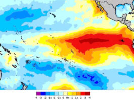 FAO traza ruta para enfrentar impacto del fenómeno «El Niño» FAO
