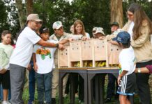 Liberan aves rescatados del tráfico ilícito en el Waraira Repano