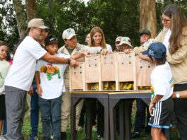 Liberan a 400 canarios de tejado en el Waraira Repano rescatados del tráfico ilícito Liberan aves rescatados del tráfico ilícito en el Waraira Repano