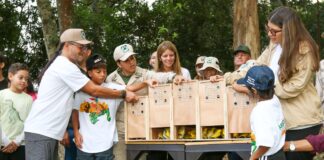 Liberan aves rescatados del tráfico ilícito en el Waraira Repano