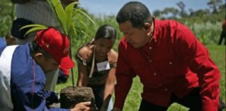 Hace 20 años el Comandante Chávez creó la Misión Árbol