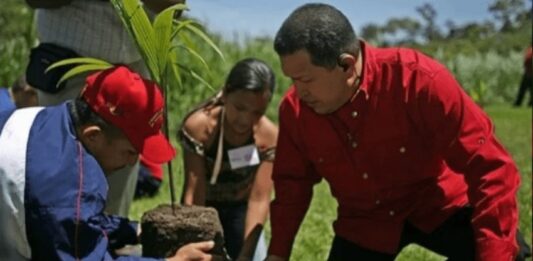 Hace 20 años el Comandante Chávez creó la Misión Árbol
