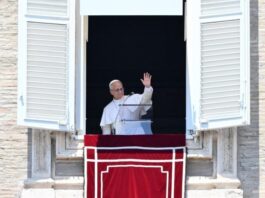 Solidaridad y cercanía espiritual