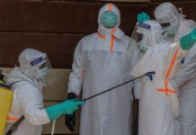 OMS publicó primeras directrices contra el ébola y virus hermanos OMS