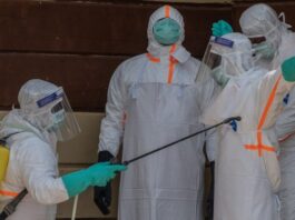 OMS publicó primeras directrices contra el ébola y virus hermanos OMS