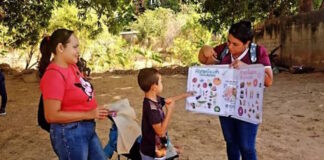 Proyectos estudiantiles