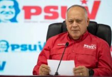 Estructuras de base del PSUV