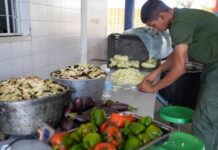 Héctor Rodríguez: campamentos están habilitados brindar atención