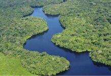 Brasil: Tras dos años de sequía la Amazonía recupera sus niveles de agua Niveles de agua de la Amazonía