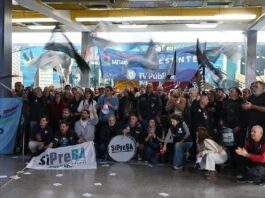 Mundial 2026 evidencia el deterioro de los medios estatales argentinos mundial-deterioro-medios-argentinos