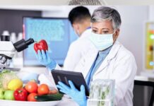 Alimentos contaminados provocan más de 1,5 millones de muertes: OMS Alimentos contaminados
