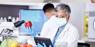 Alimentos contaminados