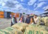 De Lara para Italia: Exportan 19 toneladas de café verde Exportan café verde