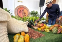 Nueva Ley del Cacao