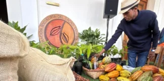 Nueva Ley del Cacao