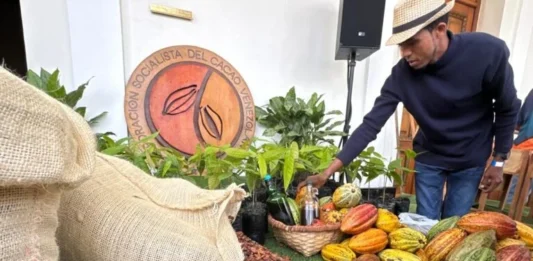 Nueva Ley del Cacao