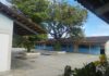Escuela Vicente Romero García