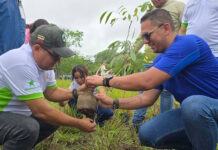 reforestación en Campo de Carabobo