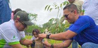 Siembran más de mil 500 árboles en jornada de reforestación en Campo de Carabobo reforestación en Campo de Carabobo