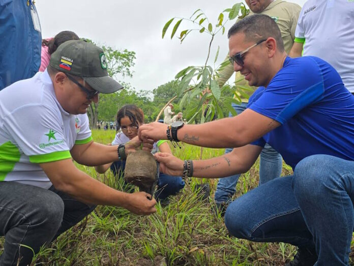 carabobo reforestación en Campo de Carabobo