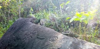 Los Petroglifos de Inagoanagoa