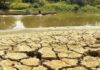 Organización Meteorológica prevé episodio del fenómeno El Niño entre junio y agosto