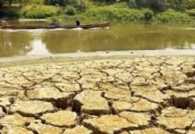 Fenómeno El Niño podría golpear con fuerza entre junio y agosto Organización Meteorológica prevé episodio del fenómeno El Niño entre junio y agosto
