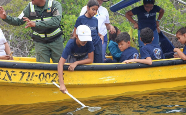 Mincyt liberó mil cabellitos de mar en el Parque Nacional Mochima Mil caballitos de mar