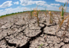 Fenómeno de El Niño ya está activo en El Salvador