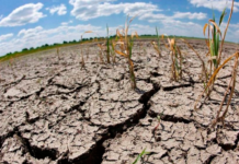 Alertan que fenómeno de El Niño ya está activo en El Salvador Fenómeno de El Niño ya está activo en El Salvador