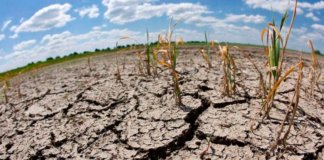 Alertan que fenómeno de El Niño ya está activo en El Salvador Fenómeno de El Niño ya está activo en El Salvador