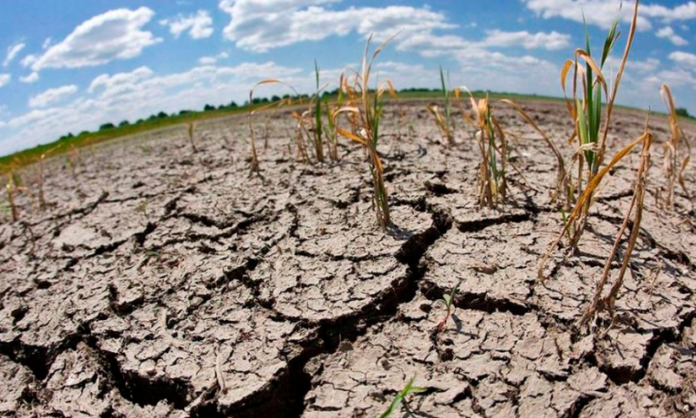Fenómeno de El Niño ya está activo en El Salvador Fenómeno de El Niño ya está activo en El Salvador