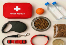 kit de emergencia para mascotas