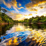 Estado Amazonas | Danfny Velásquez Amazonas