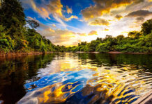 Amazonas