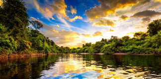 Amazonas