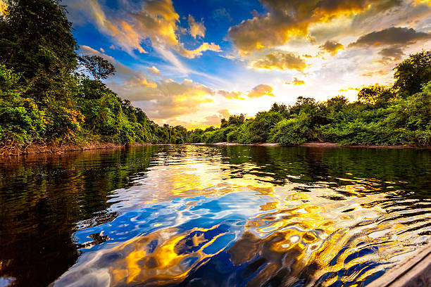 Amazonas Amazonas