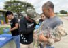 Valencia: Alcaldía y Misión Nevado realizaron jornada veterinaria en Santa Rosa Jornada veterinaria