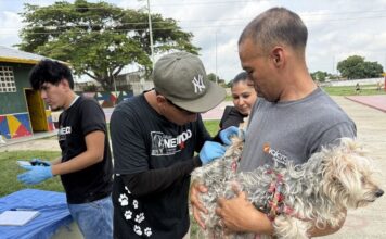 Jornada veterinaria