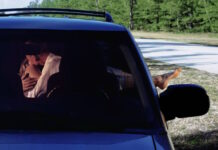 sexo en el carro