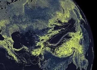 Mapean por primera vez el gigantesco «sistema circulatorio» de la Tierra Sistema circulatorio de la tierra