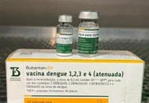 Brasil suspende temporalmente vacuna nacional contra el dengue Brasil: Suspende temporalmente vacuna nacional contra el dengue
