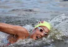 Delegación criolla de aguas abiertas buscará podio en República Dominicana Delegación de aguas abiertas venezolana camino al podio en República Dominicana