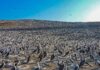 Perú: Activan estrategia integral para mitigar impacto del Niño sobre fauna silvestre Perú estrategia integral