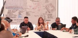 Gran Misión Venezuela Renace