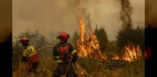 Más de 60 mil evacuados y 50 mil hectáreas calcinadas tras incendios forestales al sur de Francia