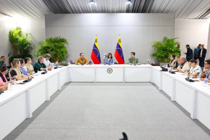 Presidenta (E) Delcy Rodríguez Presidenta (E) Delcy Rodríguez - ONG Internacionales