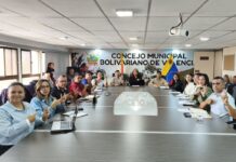 Concejo Municipal de Valencia aprueba reforma de la Ordenanza Ambiental Concejo municipal de valencia aprueba admisión en primera sesión del proyecto en defensa y mejora del ambiente